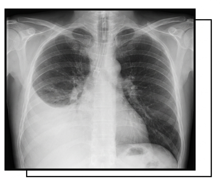 Question 8 image