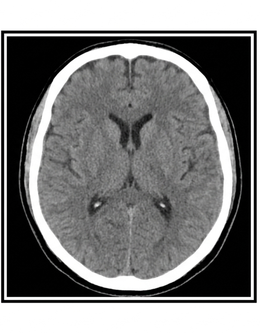 Question 3 image